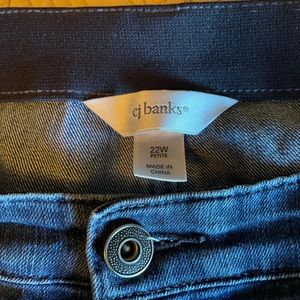 Christopher and Banks 22P jeans.
